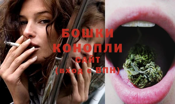 PSILOCYBIN Балахна