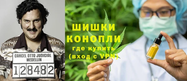 PSILOCYBIN Балахна