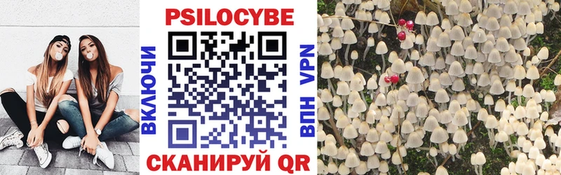 Галлюциногенные грибы Psilocybe  как найти наркотики  Заречный 